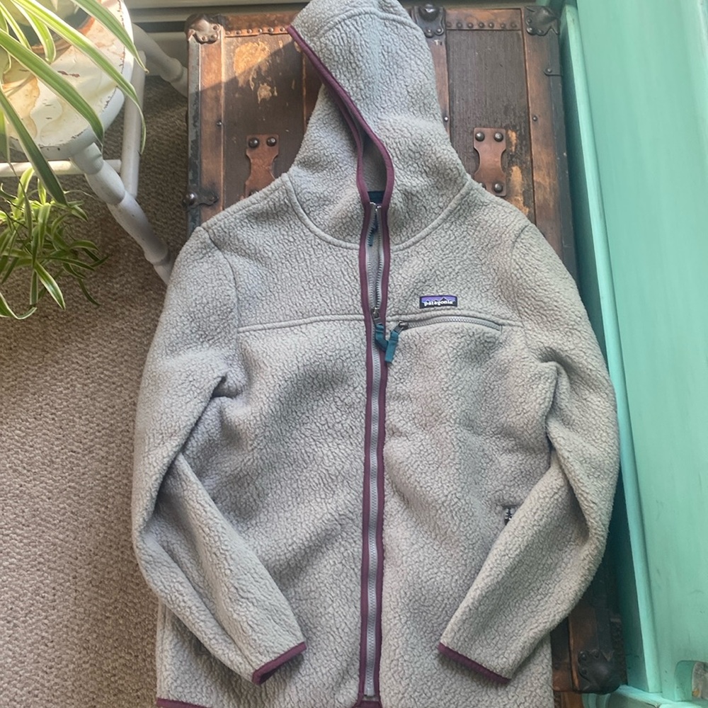 Patagonia hooded fleece with purple piping.